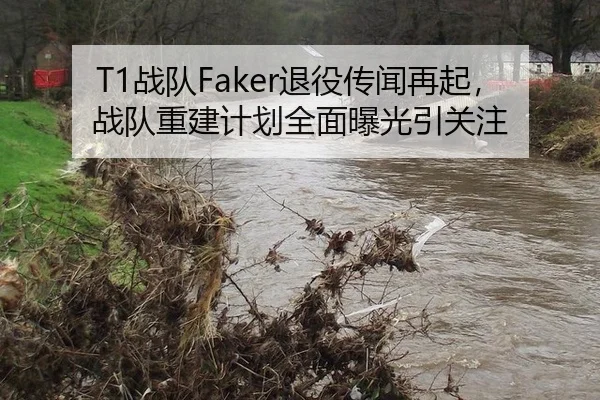 T1战队Faker退役传闻再起，战队重建计划全面曝光引关注
