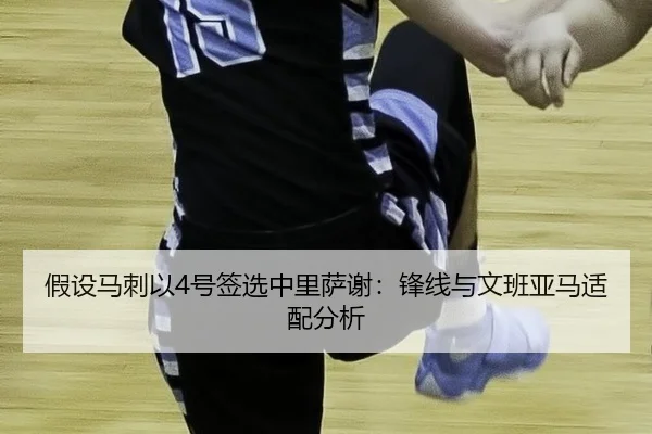 jia-she-ma-ci-yi-hao-qian-xuan-zhong-li-sa-xie-feng-xian-yu-wen-ban-ya-ma-shi-pei-fen-xi-3-782.jpg